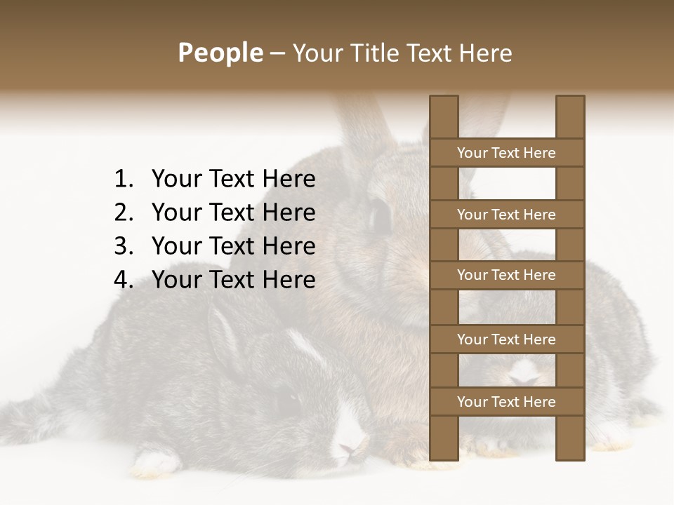 Springtime Sweet Seasonal PowerPoint Template
