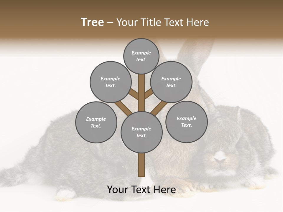 Springtime Sweet Seasonal PowerPoint Template