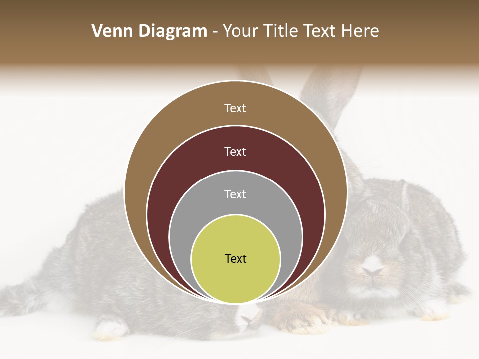 Springtime Sweet Seasonal PowerPoint Template