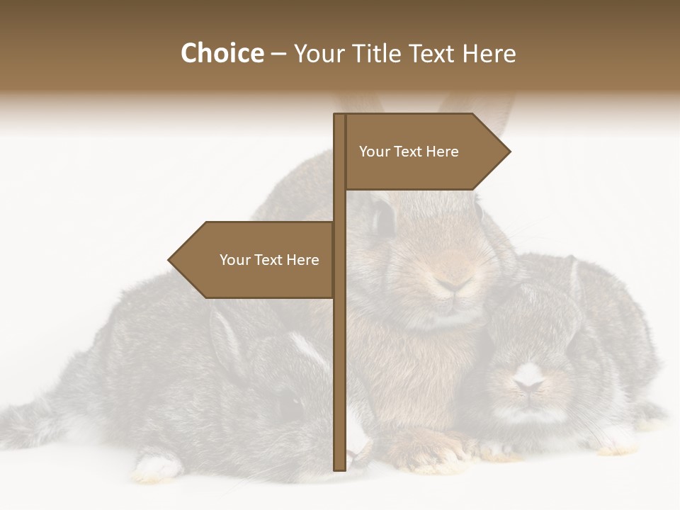 Springtime Sweet Seasonal PowerPoint Template