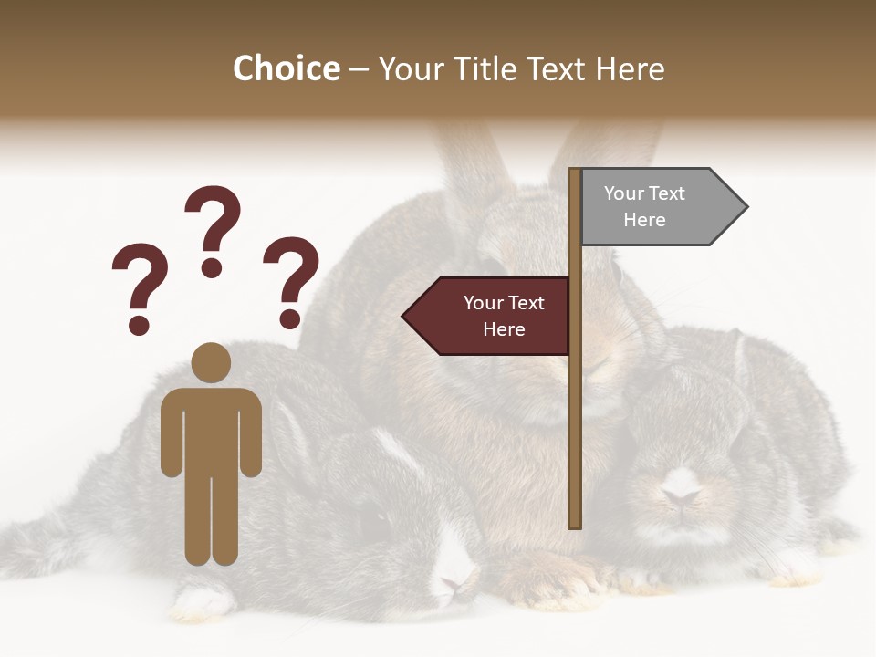 Springtime Sweet Seasonal PowerPoint Template