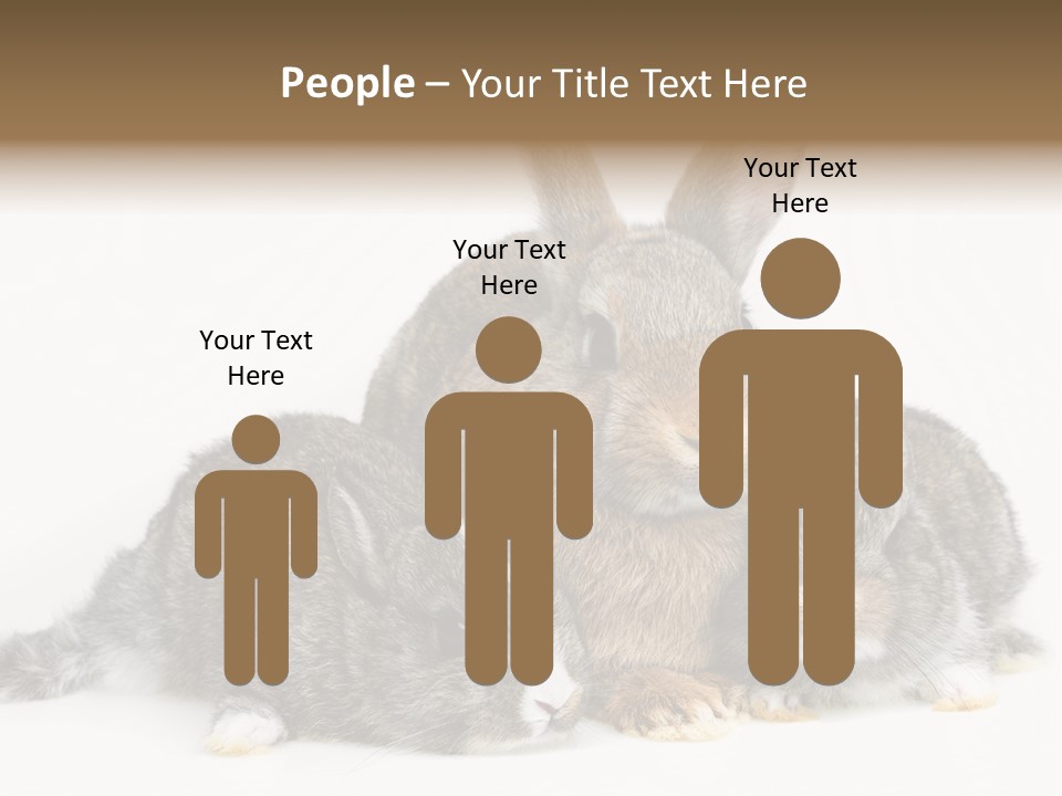 Springtime Sweet Seasonal PowerPoint Template