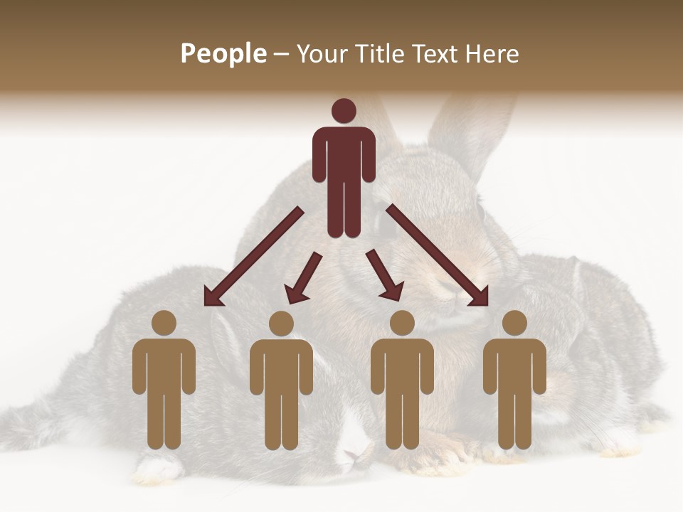 Springtime Sweet Seasonal PowerPoint Template