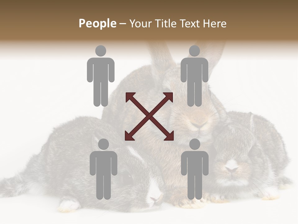 Springtime Sweet Seasonal PowerPoint Template