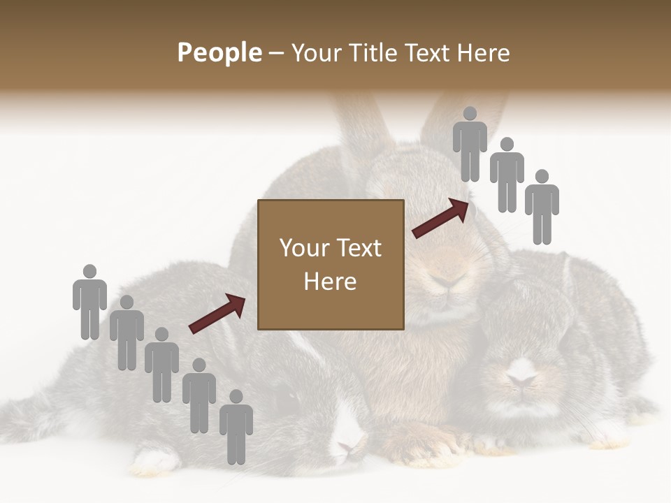 Springtime Sweet Seasonal PowerPoint Template