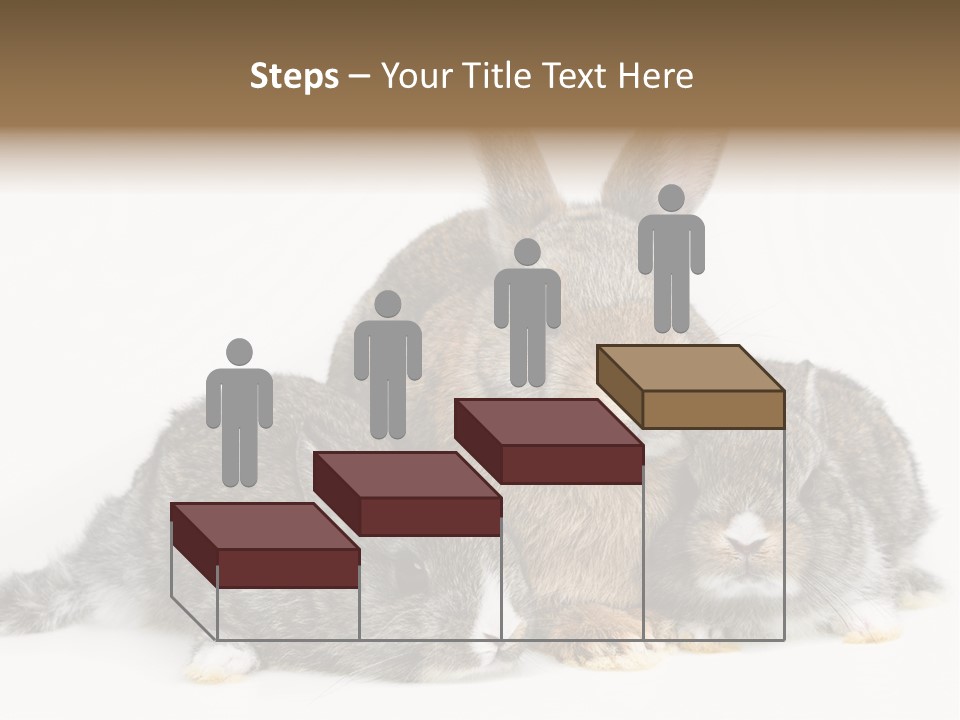 Springtime Sweet Seasonal PowerPoint Template