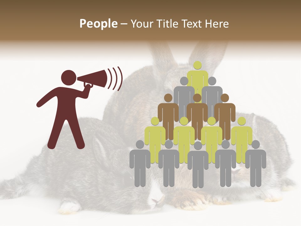 Springtime Sweet Seasonal PowerPoint Template