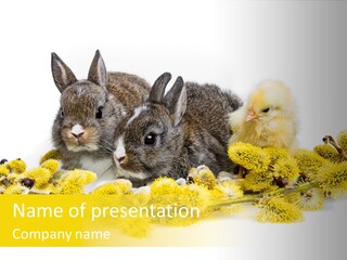 Grow Pollen Fur PowerPoint Template