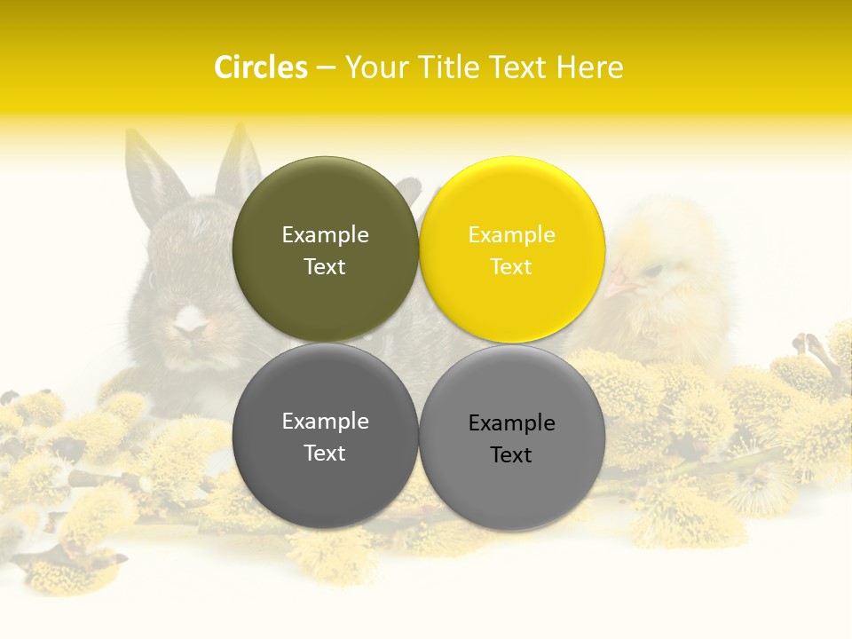 Grow Pollen Fur PowerPoint Template