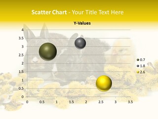 Grow Pollen Fur PowerPoint Template