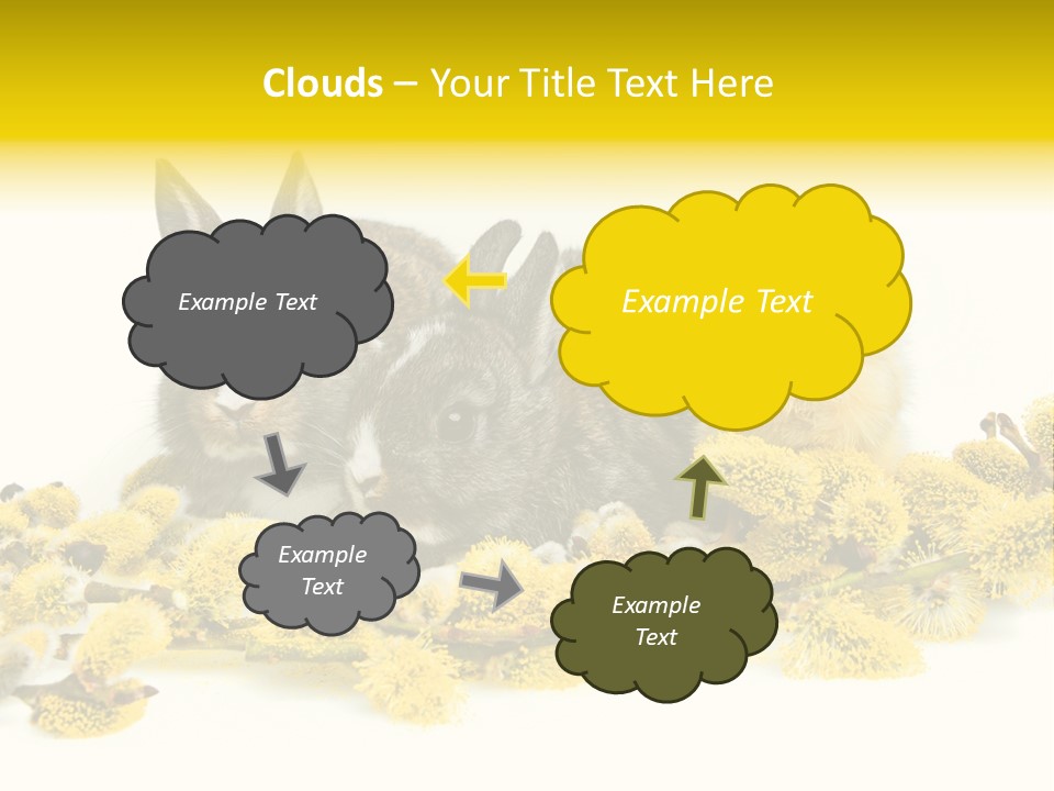 Grow Pollen Fur PowerPoint Template