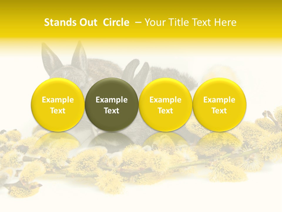 Grow Pollen Fur PowerPoint Template