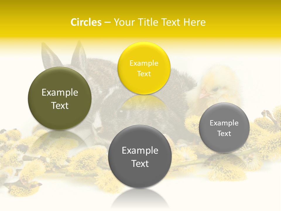 Grow Pollen Fur PowerPoint Template