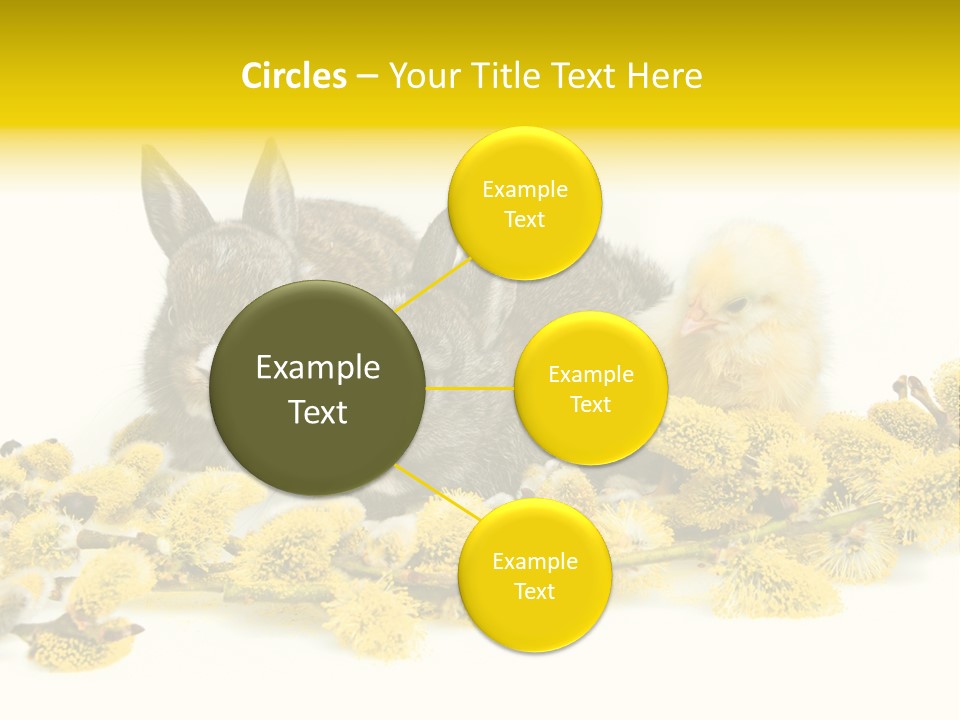 Grow Pollen Fur PowerPoint Template