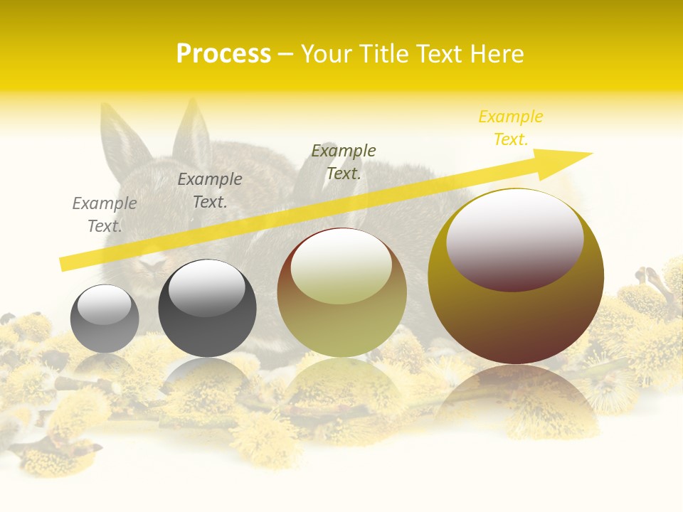 Grow Pollen Fur PowerPoint Template