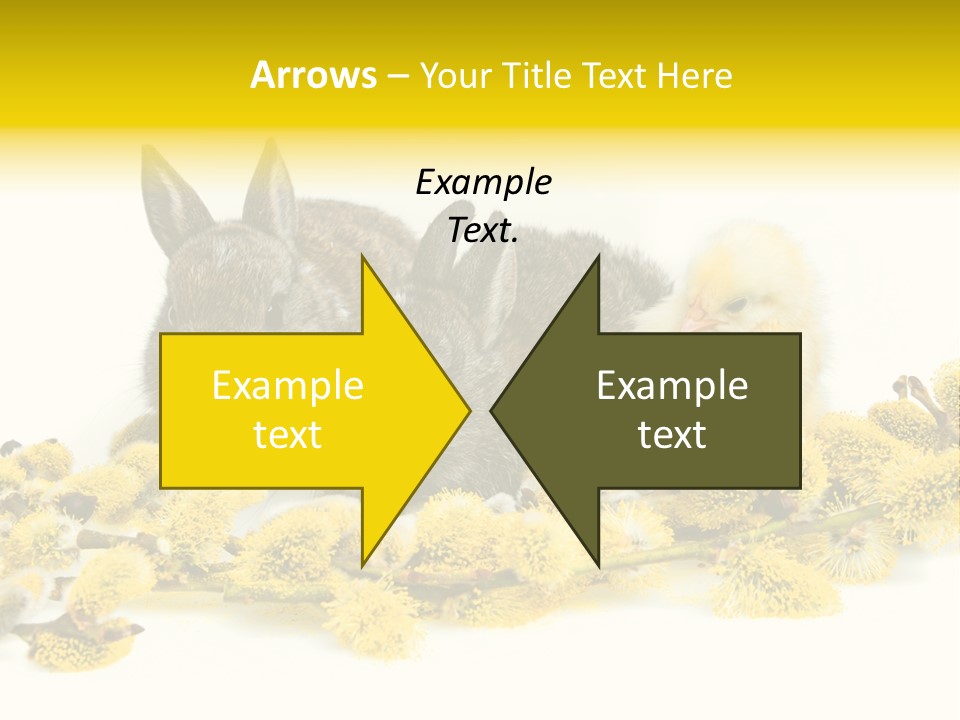 Grow Pollen Fur PowerPoint Template