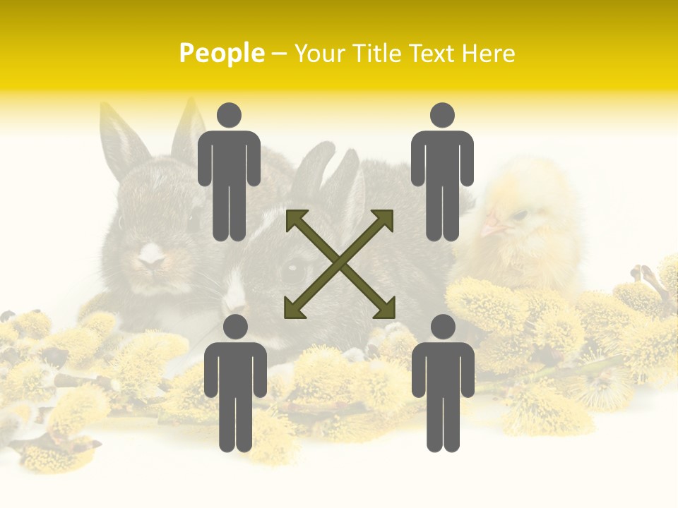 Grow Pollen Fur PowerPoint Template