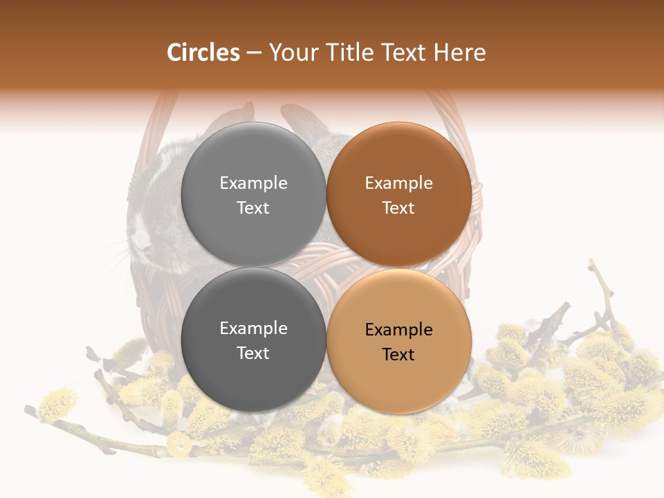 Flowering Springtime Frightened PowerPoint Template