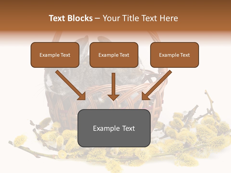 Flowering Springtime Frightened PowerPoint Template