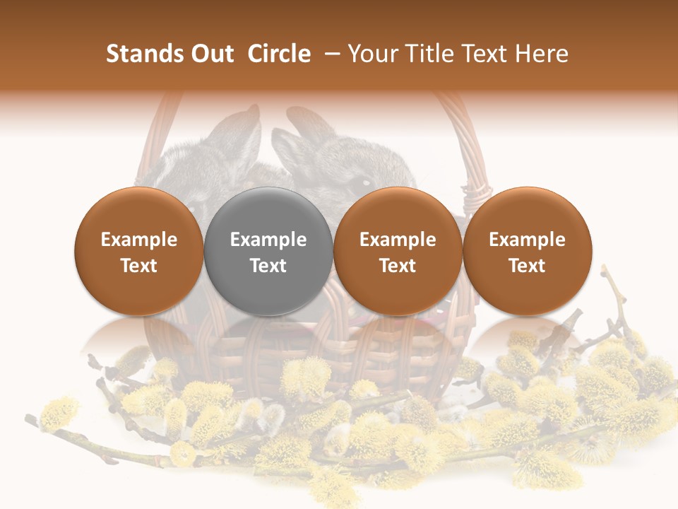 Flowering Springtime Frightened PowerPoint Template