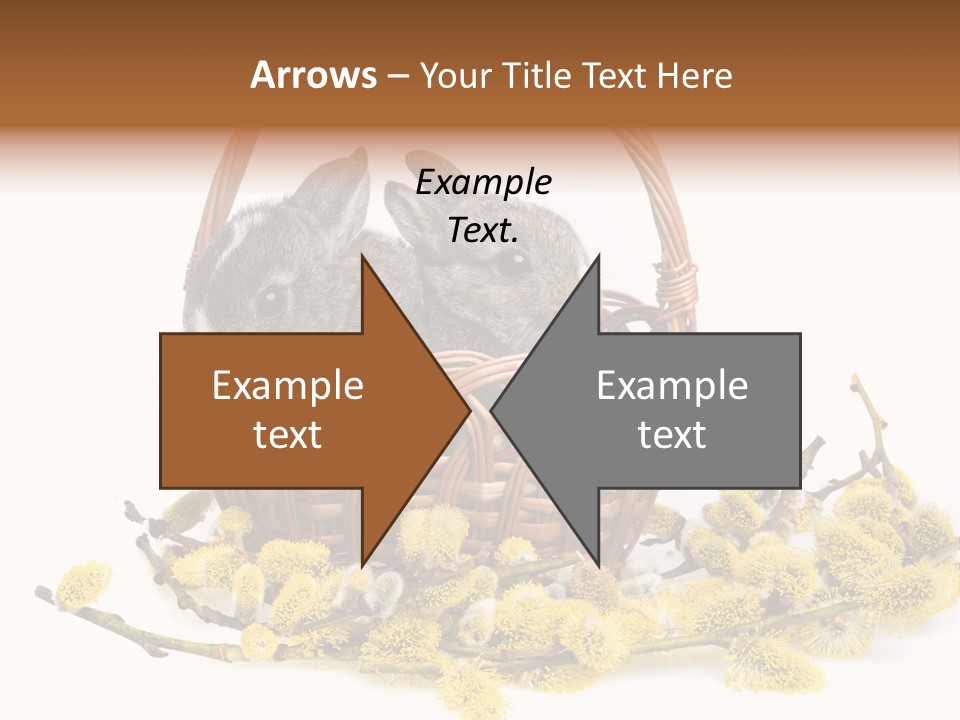 Flowering Springtime Frightened PowerPoint Template