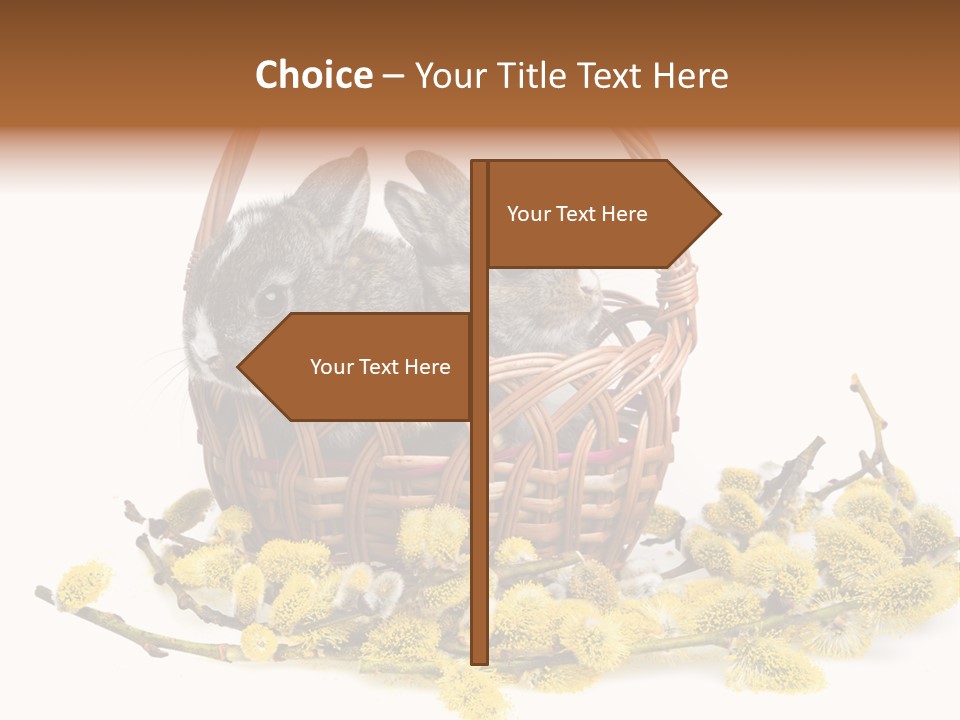 Flowering Springtime Frightened PowerPoint Template