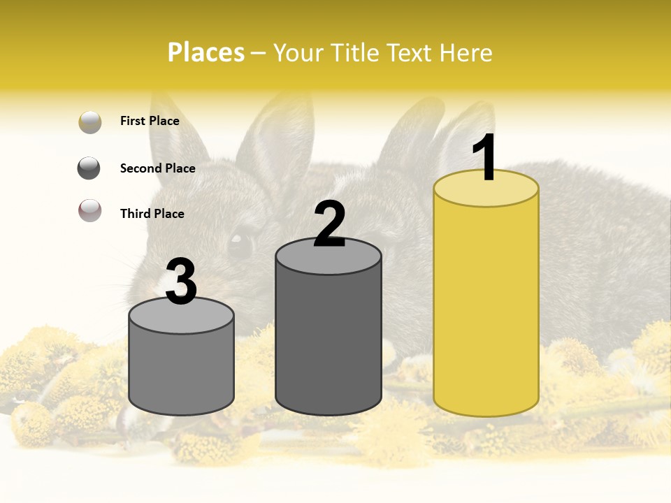 Two Branch Hare PowerPoint Template