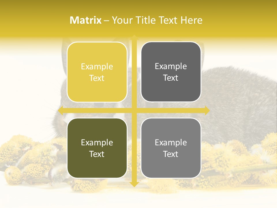 Two Branch Hare PowerPoint Template