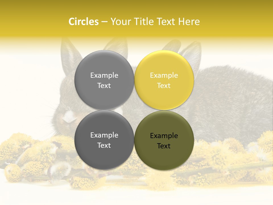 Two Branch Hare PowerPoint Template