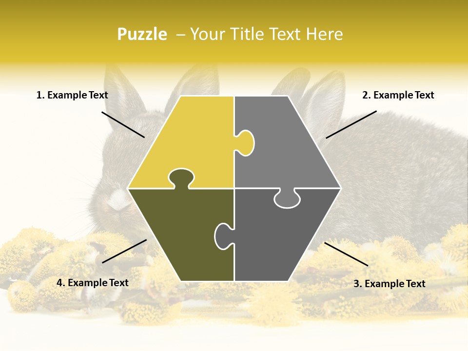 Two Branch Hare PowerPoint Template