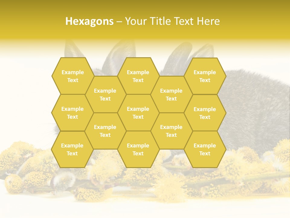 Two Branch Hare PowerPoint Template