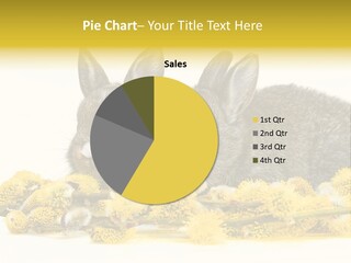 Two Branch Hare PowerPoint Template