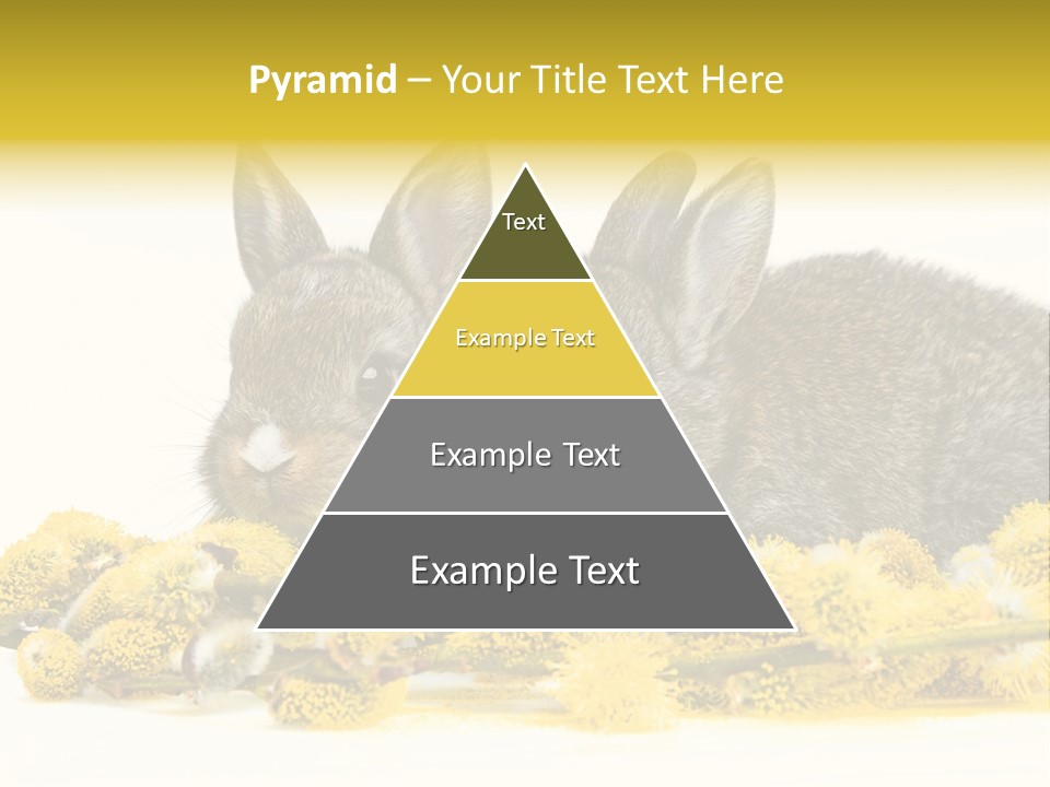 Two Branch Hare PowerPoint Template