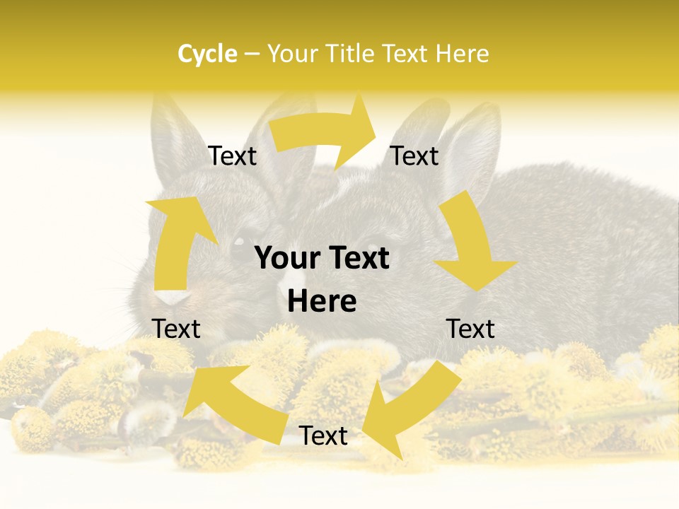 Two Branch Hare PowerPoint Template