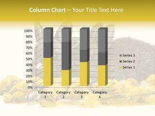 Two Branch Hare PowerPoint Template