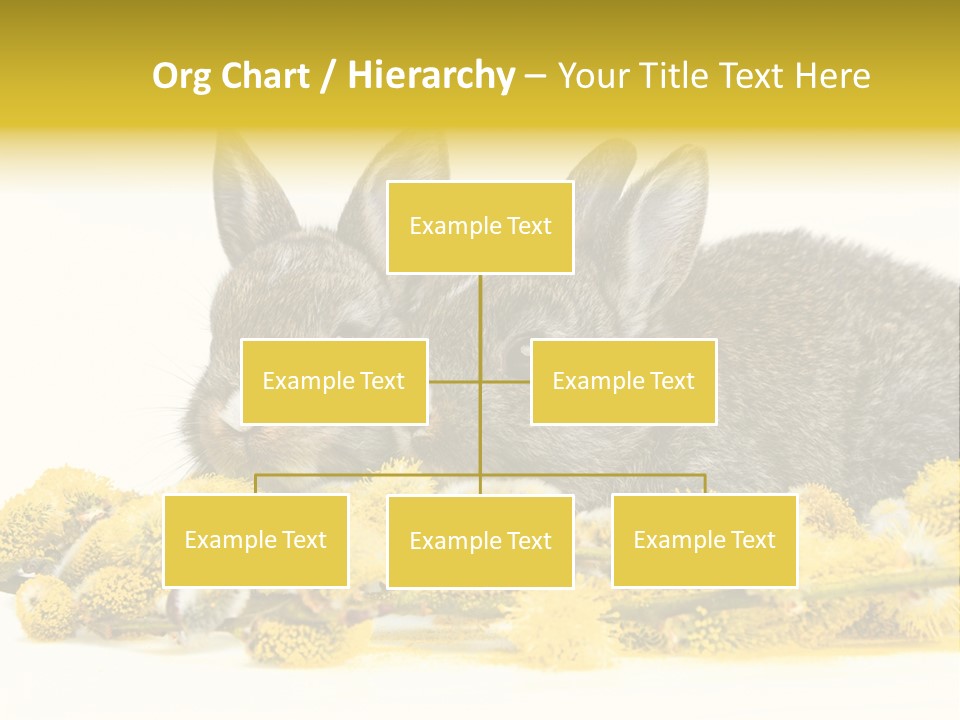 Two Branch Hare PowerPoint Template