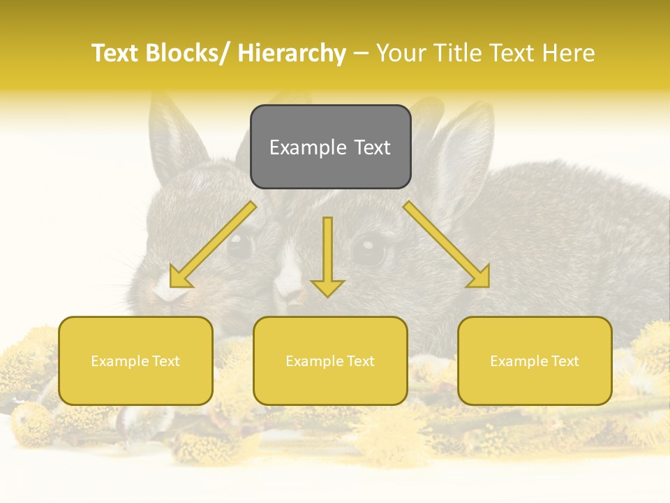 Two Branch Hare PowerPoint Template