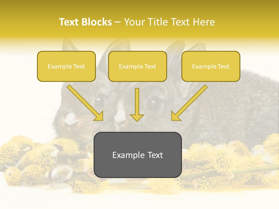 Two Branch Hare PowerPoint Template