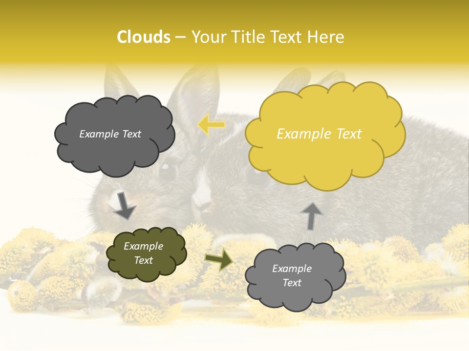 Two Branch Hare PowerPoint Template