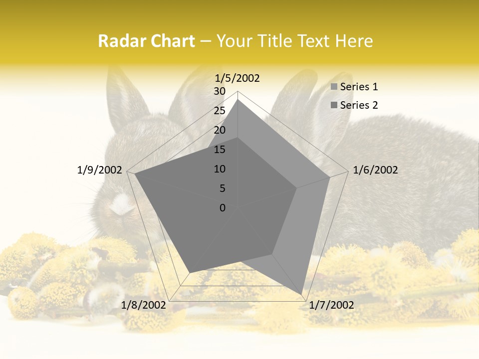 Two Branch Hare PowerPoint Template
