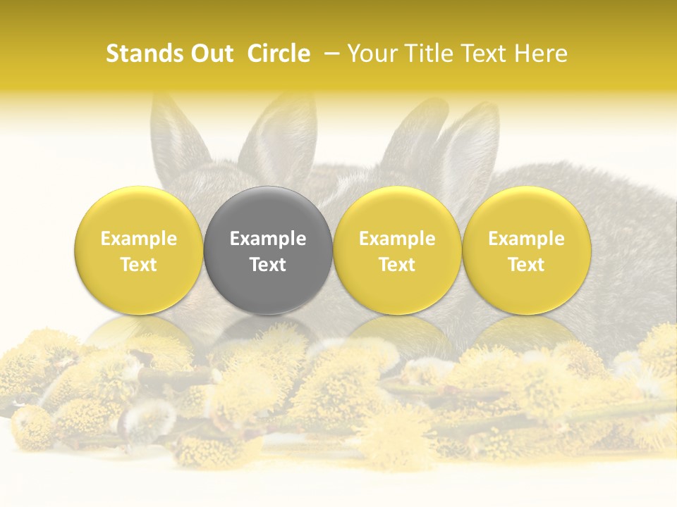 Two Branch Hare PowerPoint Template