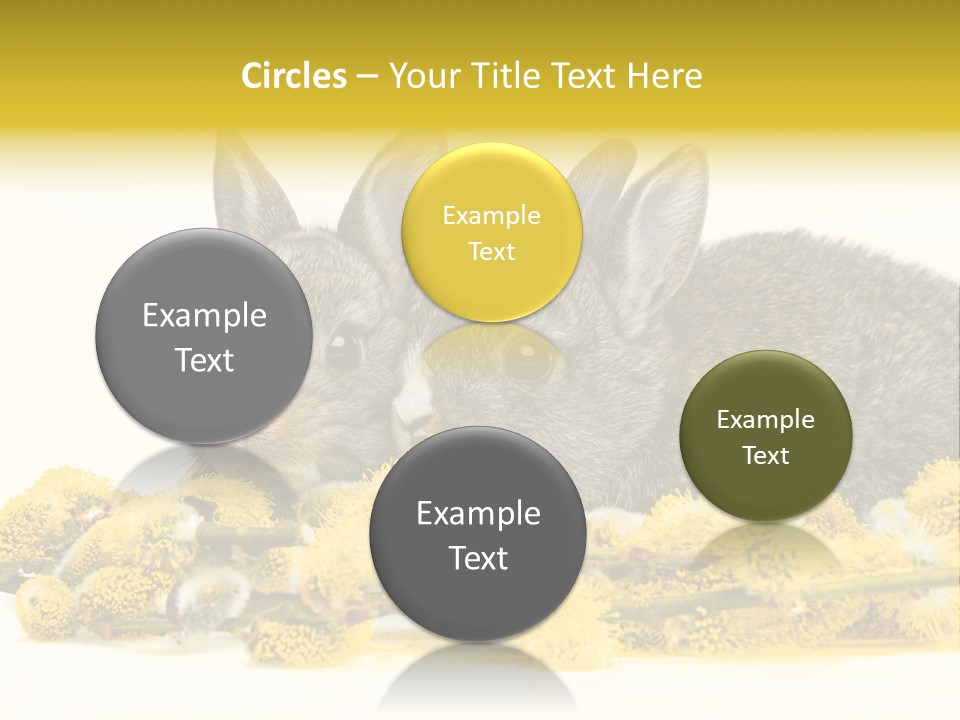 Two Branch Hare PowerPoint Template