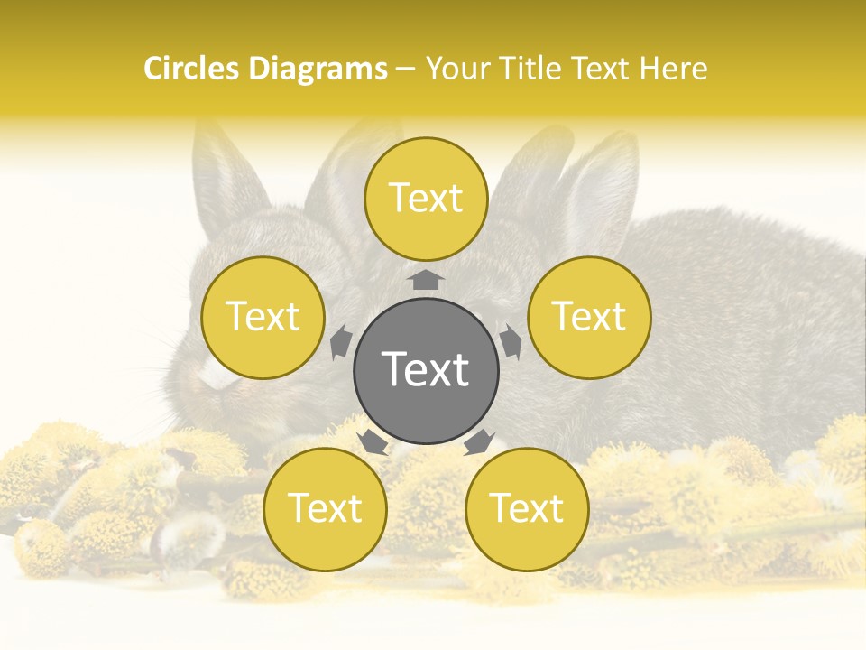 Two Branch Hare PowerPoint Template