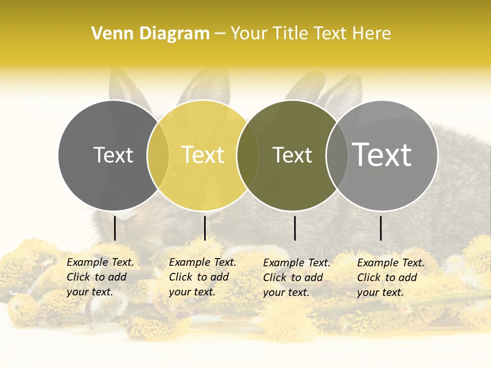 Two Branch Hare PowerPoint Template