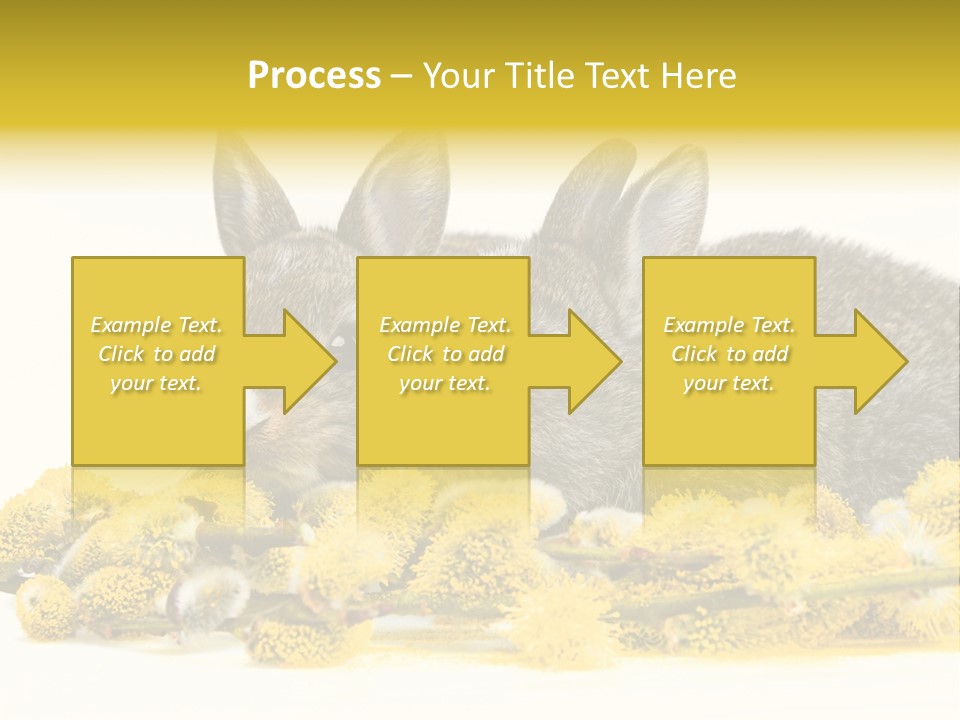 Two Branch Hare PowerPoint Template