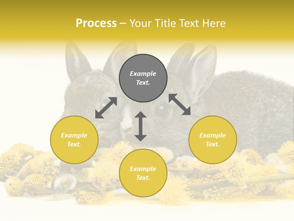Two Branch Hare PowerPoint Template