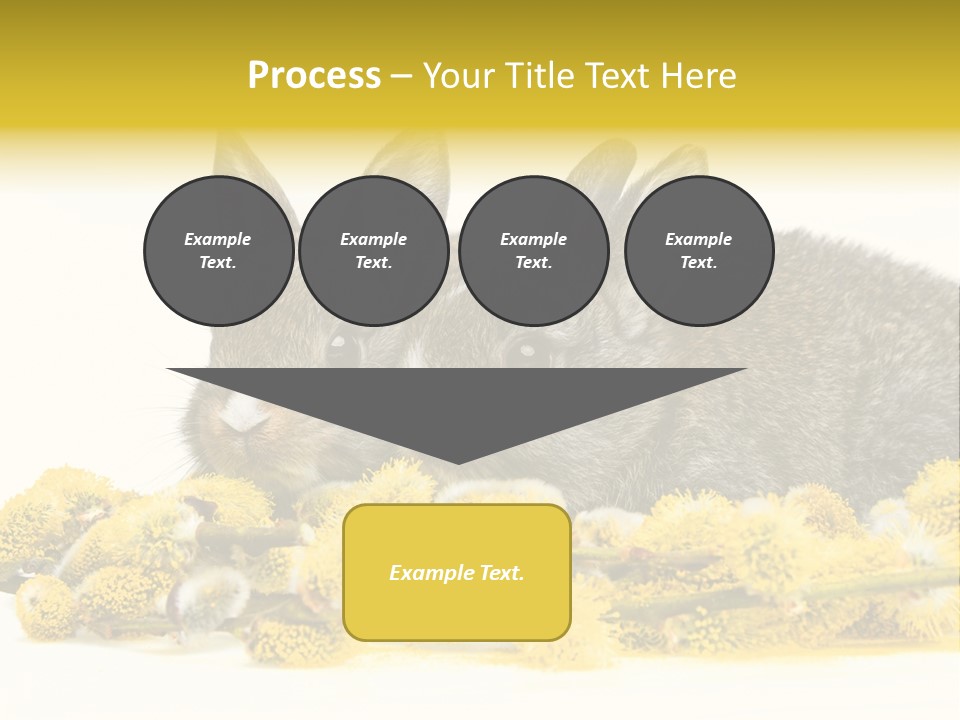 Two Branch Hare PowerPoint Template