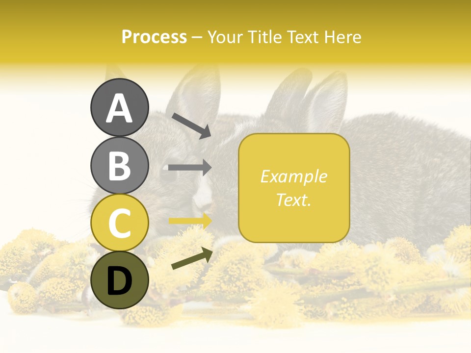 Two Branch Hare PowerPoint Template