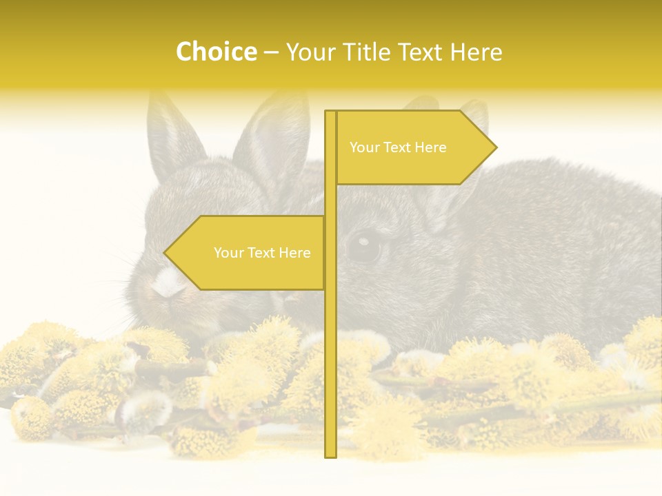 Two Branch Hare PowerPoint Template