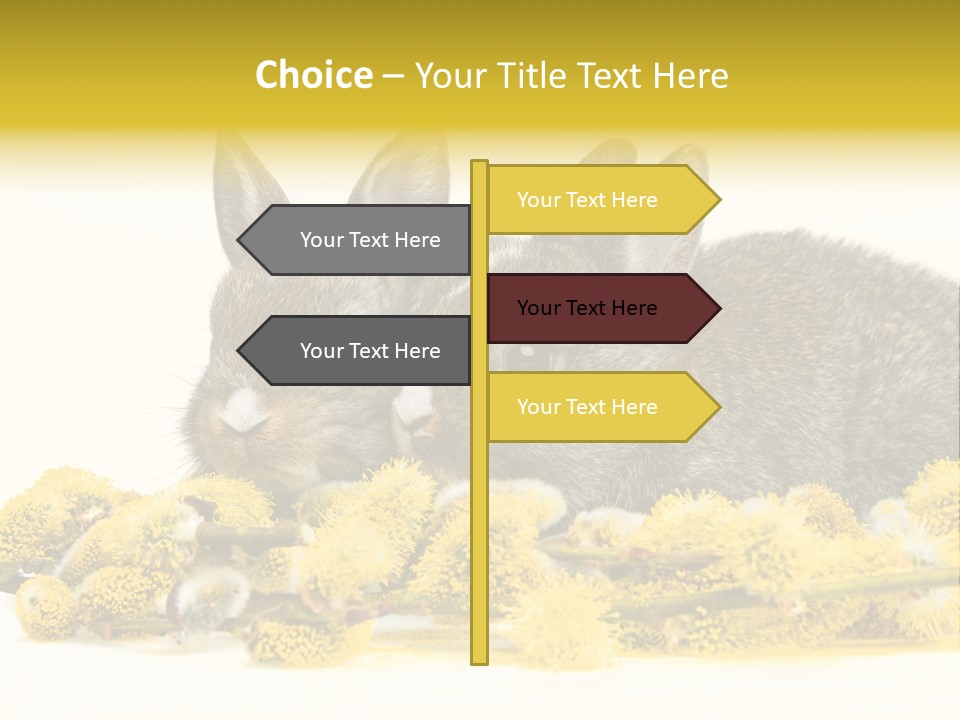 Two Branch Hare PowerPoint Template